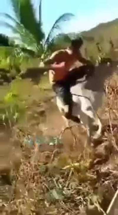 revenge