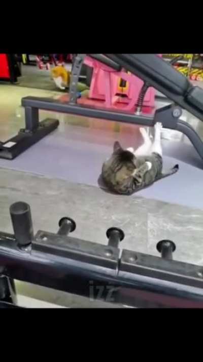 its about drive its about power