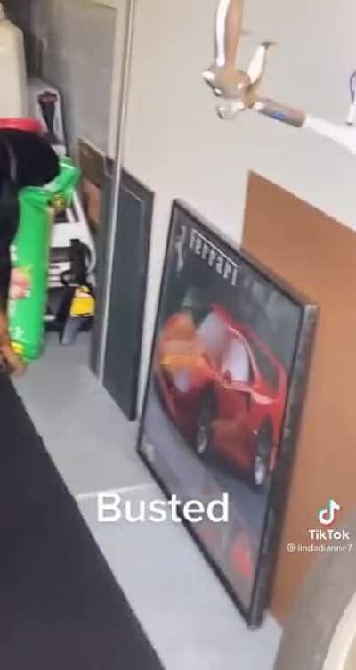 he didn&lsquo;t do nothing