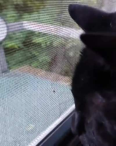 Chatter