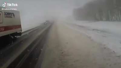Snowy Crash