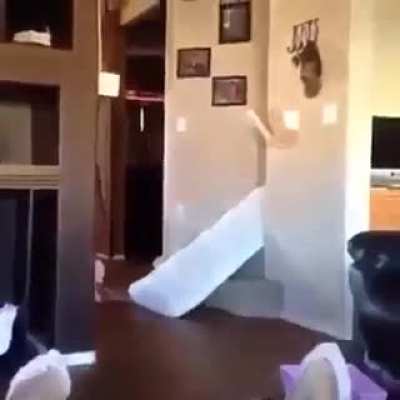 kid fails