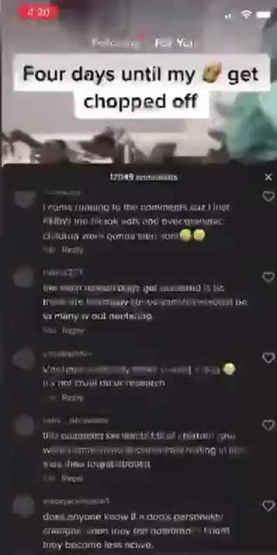 Not knowing what neutering a dog is