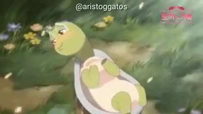 Me explica isso