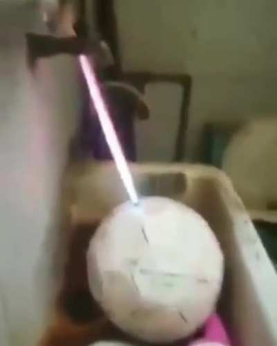 XD