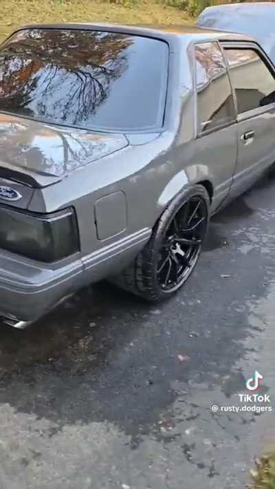 Clean fox body