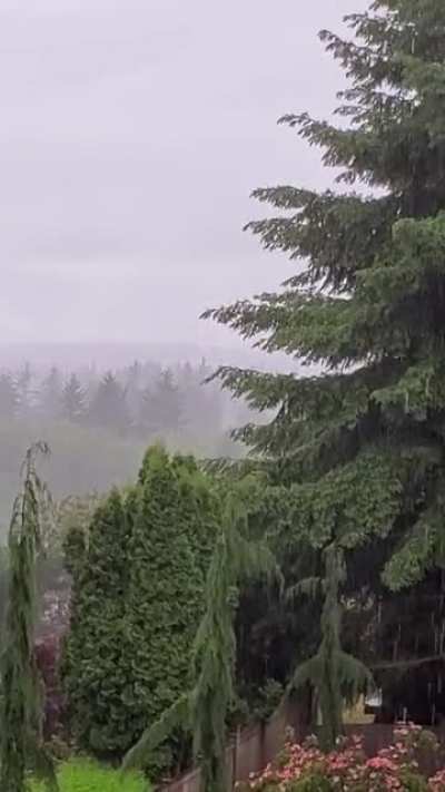Perfect PNW day!