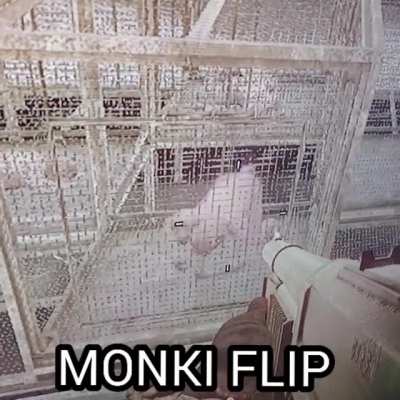 Black Ops monki flip