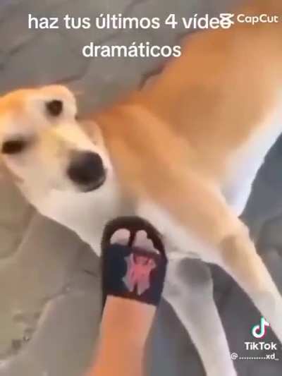 Drama