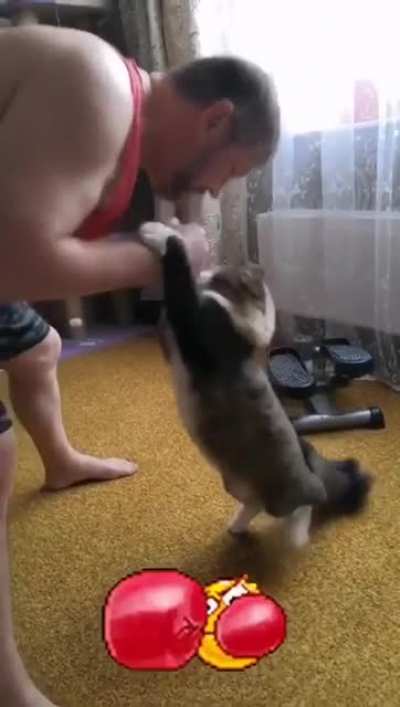 Knockout