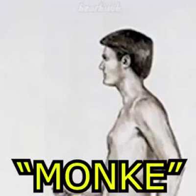Embrace Monke
