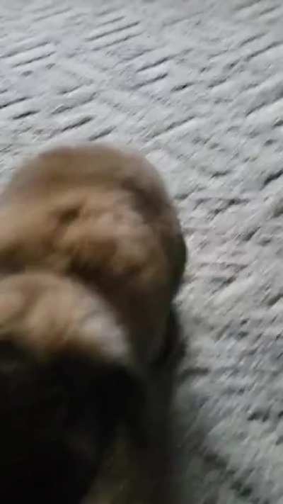 How I know my Gwenie loves me