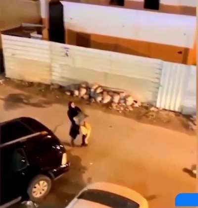 Woman carries her "pet lion" back home in Kuwait.