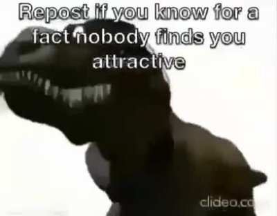 I&rsquo;m proud of the fact