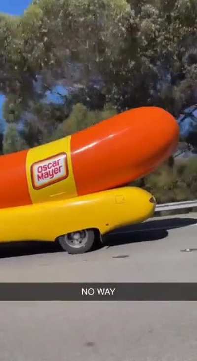 WEINER MOBILE