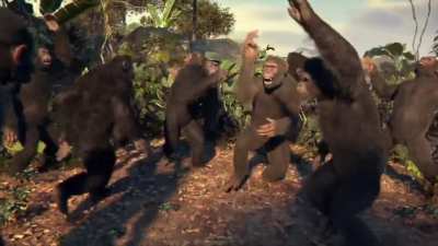 All the newly adopted apes at the Dian Fossey Gorilla Fund
