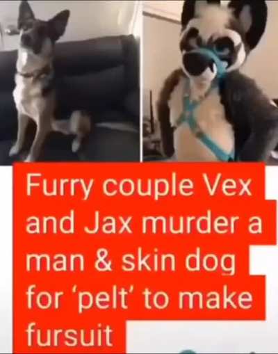blursed_furries