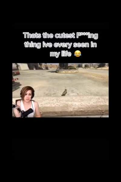 Breh