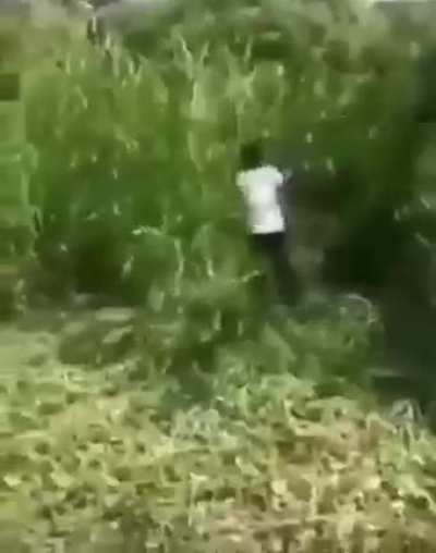 👍