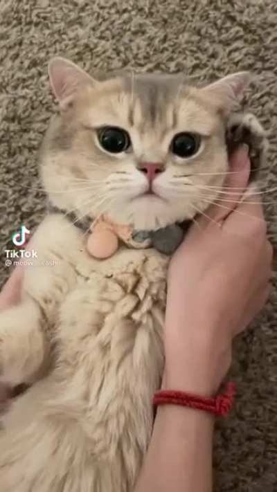 Абонент :3
