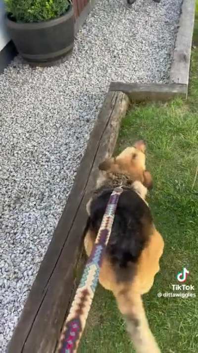 Look at him go!