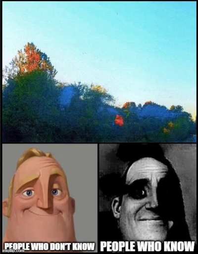 Shouldn&rsquo;t have ignored that bat in your room.