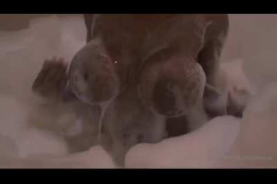 EBONY MYSTIQUE XXXTRA WET