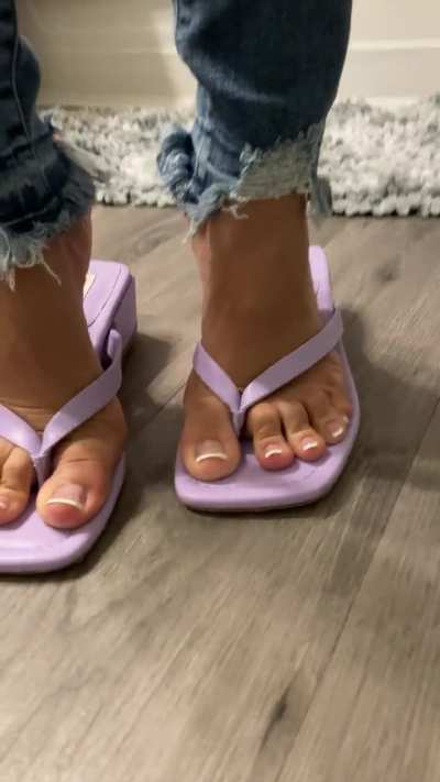 I love the way my Frenchies look in Flip Flops. Splash 💦 Ready