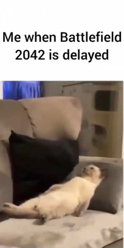 its delayed :(