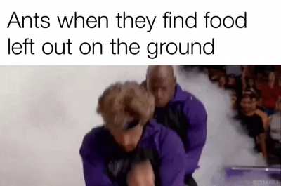 Everyone line up