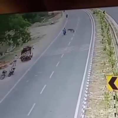 India 🇮🇳
In Uttar Pradesh, India,
Unfortunately, a 28-year-old man was pierced in the chest by the horns of a blue antelope crossing the road and died.