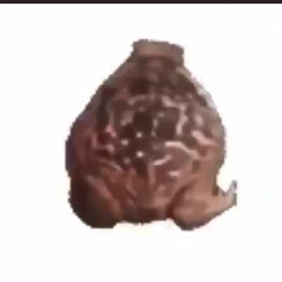 S_A_P_O