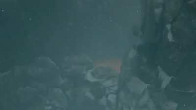Sekiro is a Brutal Game!
