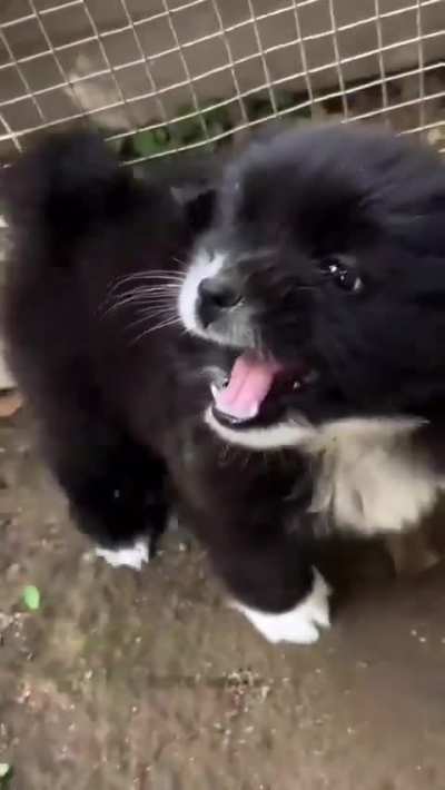 omg!! She is so angry!