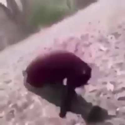 Inb4 you watch this 15 times