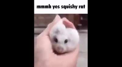 Ratard