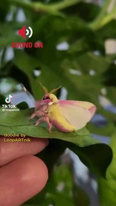 OH GOD NO