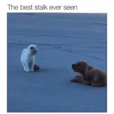 Not stalking you, just scratching my ear.