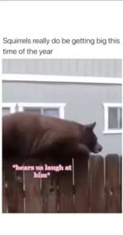 scary squirrel