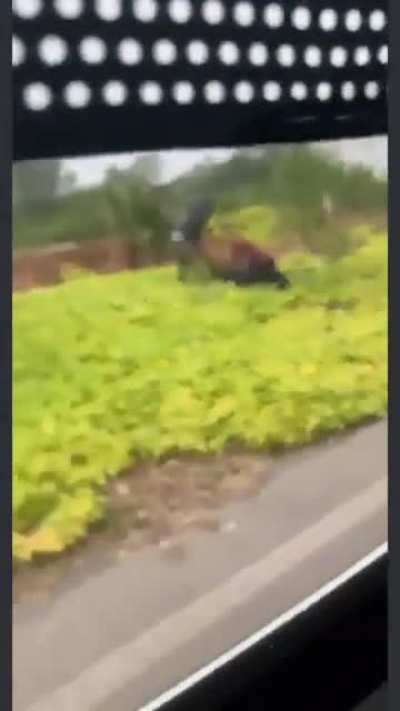 Yucatan, Mexico - police officer killed with his own gun after stopping stolen vehicle, he was only 23 years old
