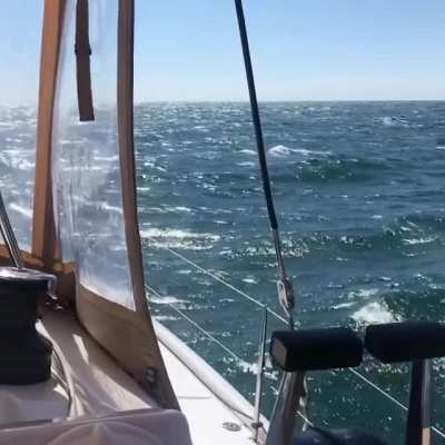 Crossing from Newport to Menemsha Sunday average 18 knot wind. FP 47 made an honest 8.5 knots on an amazing summer day.