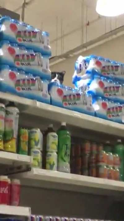Uhh... that isn&rsquo;t supposed to be there