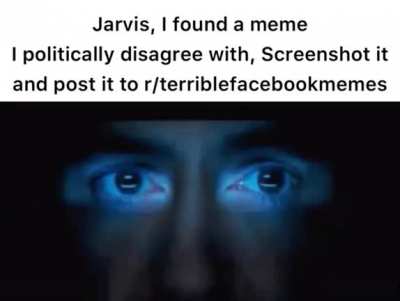 r/terriblefacebookmemes identify satire challenge [99% fail]