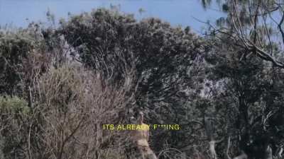 A man blows out about a kid bouncing on a dead tree.