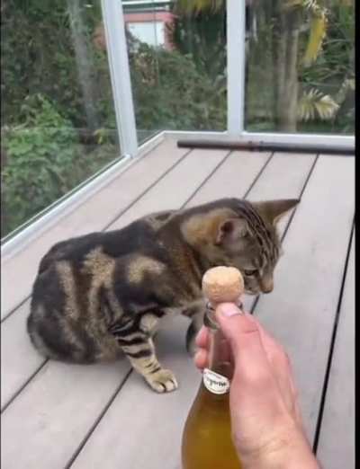 B O N K