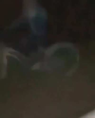 que pasa larva