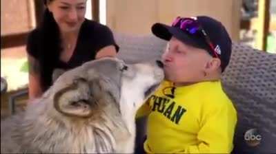 Man's best friend
