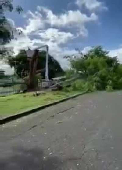 Cutting down a tree