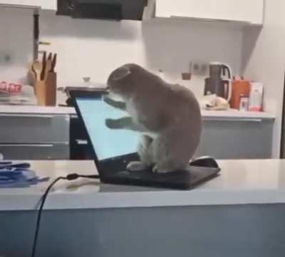 Help desk