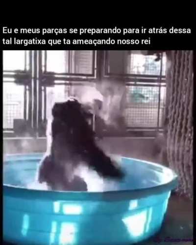 Desculpa pelo tamanho da legenda, foi o m&aacute;ximo que deu pra coloca